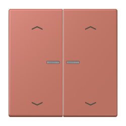 Jung HOME Taster 2fach, mit Pfeilsymbolen, Serie LS,...