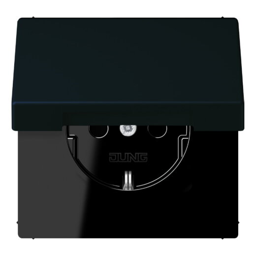 Jung SCHUKO Steckdose, 16 A 250 V ~, Klappdeckel, Serie LS, noir divoire LC1520BFKL248