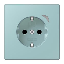 Jung HOME SCHUKO® Steckdose, 16 A 250 V ~, Energy,...