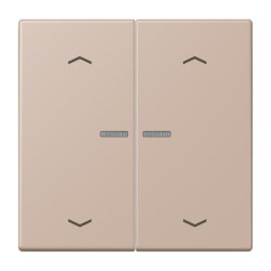 Jung HOME Taster 2fach, mit Pfeilsymbolen, Serie LS,...