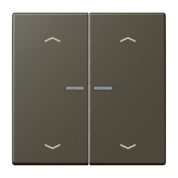 Jung HOME Taster 2fach, mit Pfeilsymbolen, Serie LS,...