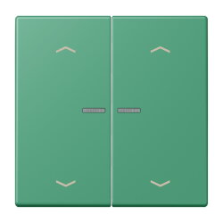 Jung HOME Taster 2fach, mit Pfeilsymbolen, Serie LS, vert...