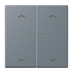 Jung HOME Taster 2fach, mit Pfeilsymbolen, Serie LS, gris...