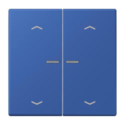 Jung HOME Taster 2fach, mit Pfeilsymbolen, Serie LS, bleu...