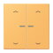 Jung HOME Taster 2fach, mit Pfeilsymbolen, Serie LS, ocre jaune clair BTLC17102P254