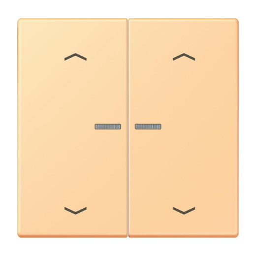 Jung HOME Taster 2fach, mit Pfeilsymbolen, Serie LS, terre sienne claire 59 BTLC17102P258