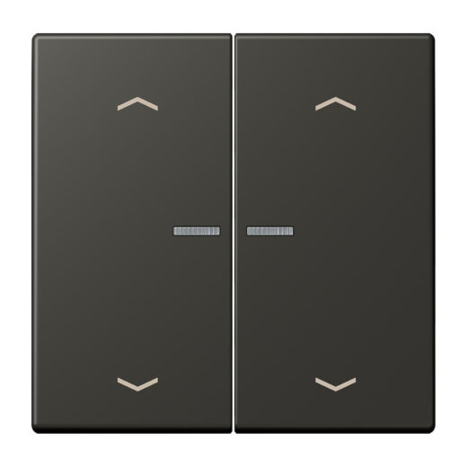 Jung HOME Taster 2fach, mit Pfeilsymbolen, Serie LS, ombre naturelle 59 BTLC17102P259