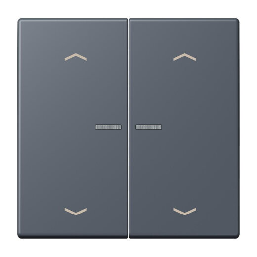 Jung HOME Taster 2fach, mit Pfeilsymbolen, Serie LS, gris fonce 59 BTLC17102P262