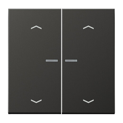 Jung HOME Taster 2fach, mit Pfeilsymbolen, Aluminium lackiert, Serie LS, anthrazit (lackiertes Aluminium) BTAL17102PAN