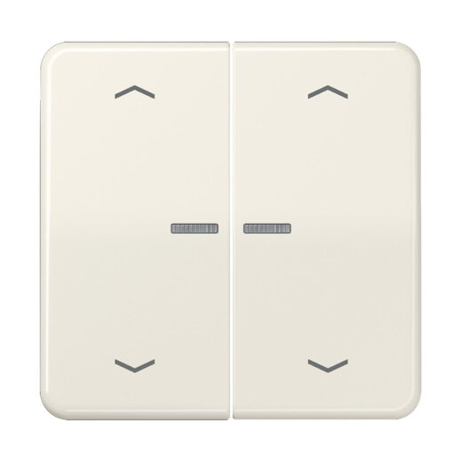 Jung HOME Taster 2fach, mit Pfeilsymbolen, Duroplast, Serie CD, weiß BTCD17102P