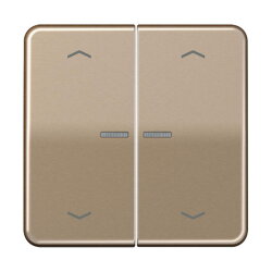 Jung HOME Taster 2fach, mit Pfeilsymbolen, Aluminium...