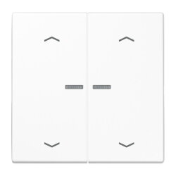 Jung HOME Taster 2fach, mit Pfeilsymbolen, Duroplast,...