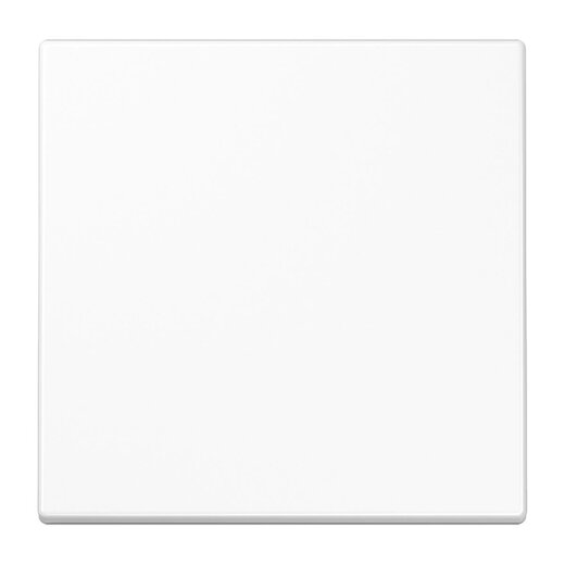 Jung Wippe 1fach, Duroplast antimikrobiell, Serie LS, alpinweiß SPLS990WW