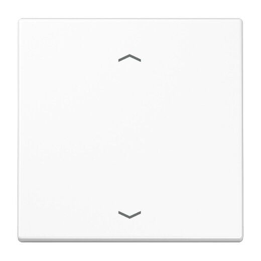 Jung Wippe, mit Pfeilsymbolen für Taster 1fach, Duroplast antimikrobiell, Serie LS, alpinweiß SPLS101PWW