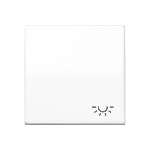 Jung Wippe 1fach, Symbol Licht, Duroplast antimikrobiell, Serie AS, alpinweiß SPAS591LWW