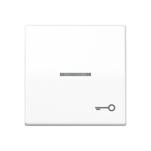 Jung Wippe mit Lichtleiter, Symbol Tür, Duroplast antimikrobiell, Serie AS, alpinweiß SPAS591KO5TWW