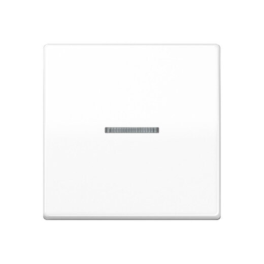 Jung Wippe 1fach mit Lichtleiter, Duroplast antimikrobiell, Serie AS, alpinweiß SPAS591KO5WW