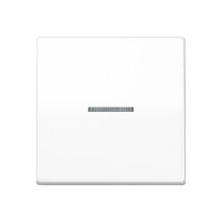 Jung Wippe 1fach mit Lichtleiter, Duroplast...