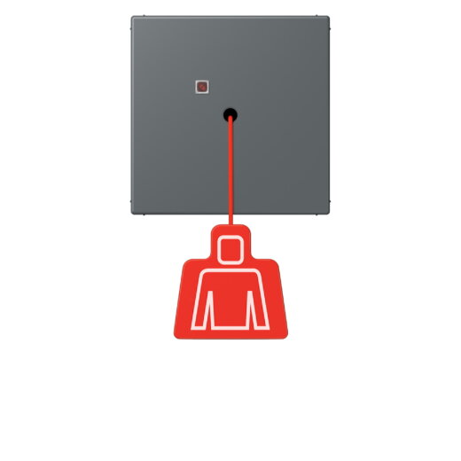 Jung Notrufsystem Zugtaster, Serie LS, gris foncé 31 NRSLC0834ZT202