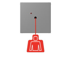 Jung Notrufsystem Zugtaster, Serie LS, gris 31...