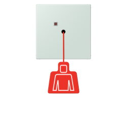 Jung Notrufsystem Zugtaster, Serie LS,...