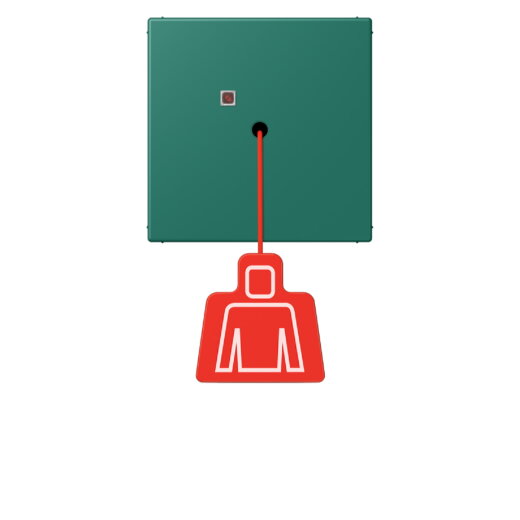 Jung Notrufsystem Zugtaster, Serie LS, vert anglais NRSLC0834ZT216