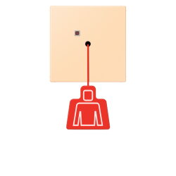 Jung Notrufsystem Zugtaster, Serie LS, ocre NRSLC0834ZT223