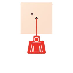 Jung Notrufsystem Zugtaster, Serie LS, orange pâle...