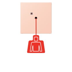 Jung Notrufsystem Zugtaster, Serie LS, locre rouge clair...