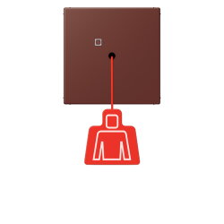 Jung Notrufsystem Zugtaster, Serie LS, terre sienne...