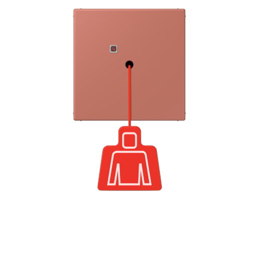 Jung Notrufsystem Zugtaster, Serie LS, terre sienne brique NRSLC0834ZT236