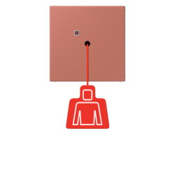 Jung Notrufsystem Zugtaster, Serie LS, terre sienne...