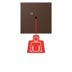 Jung Notrufsystem Zugtaster, Serie LS, terre dombre...