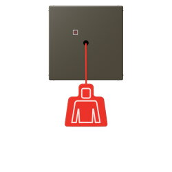 Jung Notrufsystem Zugtaster, Serie LS, ombre naturelle 31...