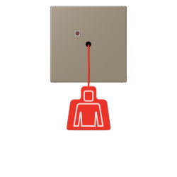 Jung Notrufsystem Zugtaster, Serie LS, ombre naturelle...