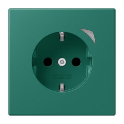 Jung HOME SCHUKO® Steckdose, 16 A 250 V ~, Energy,...