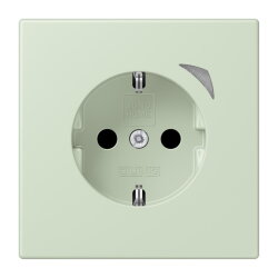 Jung HOME SCHUKO® Steckdose, 16 A 250 V ~, Energy,...