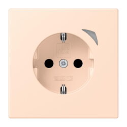 Jung HOME SCHUKO® Steckdose, 16 A 250 V ~, Energy,...