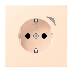 Jung HOME SCHUKO® Steckdose, 16 A 250 V ~, Energy,...