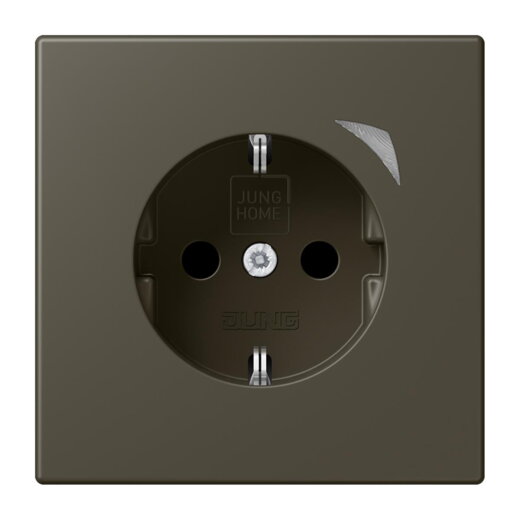 Jung HOME SCHUKO® Steckdose, 16 A 250 V ~, Energy, Schraubklemmen, mit Funktionsanzeige, SAFETY+, Thermoplast BTLC1521SE241
