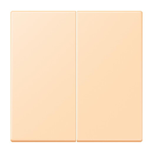 Jung Wippe 2fach, Serie LS, ocre LC995223
