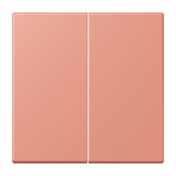 Jung Wippe 2fach, Serie LS, locre rouge moyen LC995233