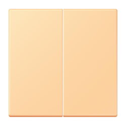 Jung Wippe 2fach, Serie LS, terre sienne claire 59 LC995258