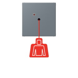 Jung Notrufsystem Zugtaster, Serie LS, gris 59...