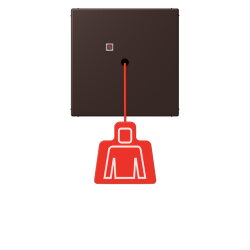 Jung Notrufsystem Zugtaster, Serie LS, terre d?ombre...