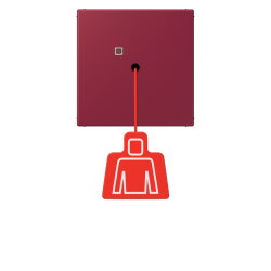 Jung Notrufsystem Zugtaster, Serie LS, le rubis...