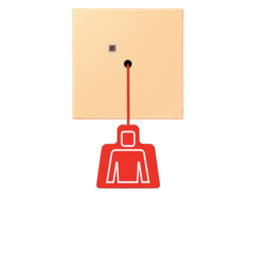 Jung Notrufsystem Zugtaster, Serie LS, terre sienne claire 59 NRSLC0834ZT258