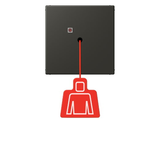 Jung Notrufsystem Zugtaster, Serie LS, ombre naturelle 59 NRSLC0834ZT259