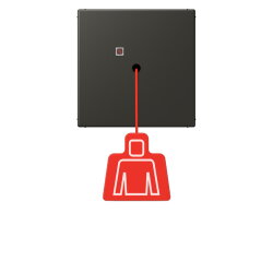 Jung Notrufsystem Zugtaster, Serie LS, ombre naturelle 59...