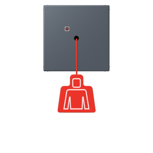 Jung Notrufsystem Zugtaster, Serie LS, gris fonce 59 NRSLC0834ZT262